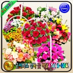 조원플라워영도할매꽃집 | 굿서비스전국꽃배달