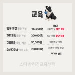 스타반려견교육센터