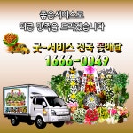 조원플라워영도할매꽃집 | 굿서비스전국꽃배달