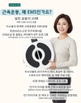 비채온