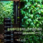 미라클피트니스 헬스 PT