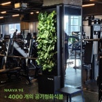 미라클피트니스 헬스 PT