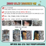 닥터모락 광주상무점