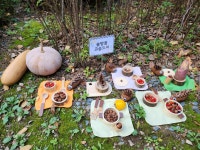 자이키즈어린이집