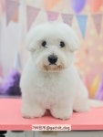 가치있개 반려견 유치원 & 미용실