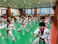 석사비호태권도