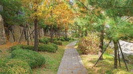 자이탑공인중개사사무소