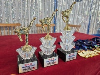 용인대석사라이온태권스쿨