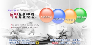 녹양동물병원