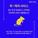 씨엔에스환경