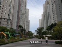 알짜부동산공인중개사사무소
