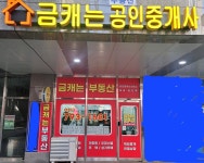 금캐는부동산공인중개사사무소