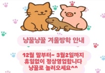 냥꿀냥꿀