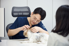 김해온드림동물병원