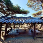 대장동40