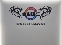 송림미르태권도