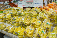 홈마트 송림점