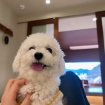 스테이더담 거제둔덕점