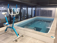 팀샤크스윔앤피트니스