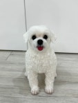까망콕 양모펠트 공방