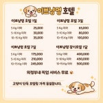 의정부 고양이분양 강아지분양 이쁘냥 애견샵