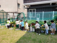 코끼리영재어린이집