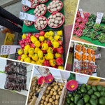 웅이네 야채청과