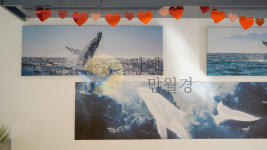 카페 만월경 독산점