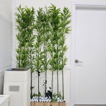 GDR 태릉골프연습장