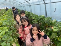 용인대임상록태권도장