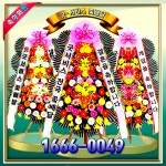 조원플라워영도할매꽃집 | 굿서비스전국꽃배달