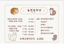 놀면묘하냥 은평점