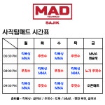팀매드 사직