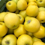 늘품농업회사법인