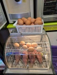 CU 강풀만화거리점