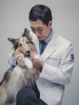 서울88동물의료원