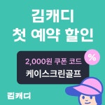 골프존 케이스크린