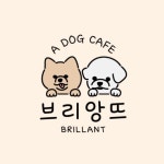 브리앙뜨애견카페&유치원&놀이방&애견호텔