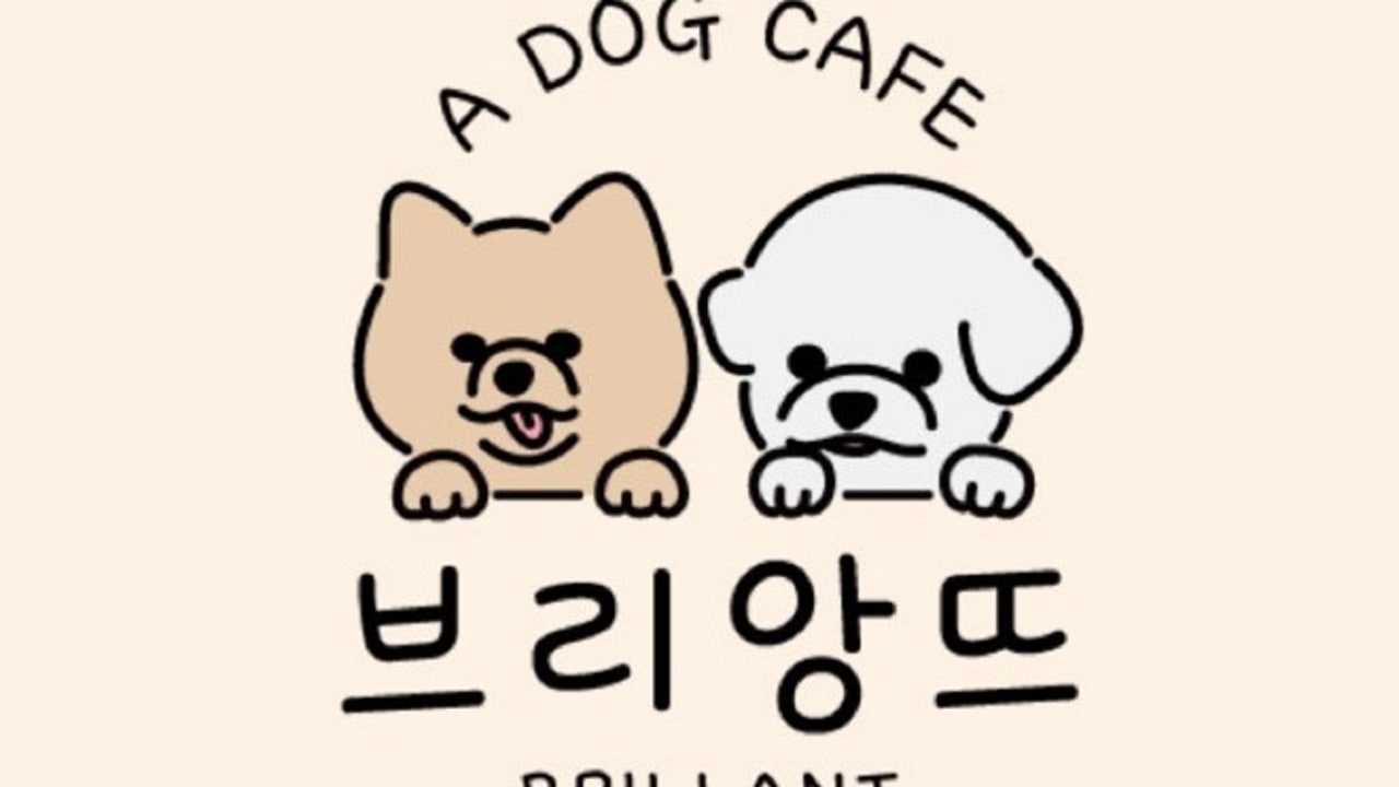 브리앙뜨애견카페&유치원&놀이방&애견호텔