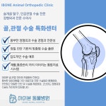아이본동물병원