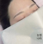 눈썹나라