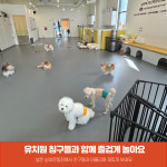 오프독 반려견 종합교육문화센터