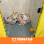 오프독 반려견 종합교육문화센터