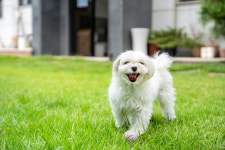 아롬타롬하우스