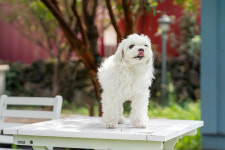 아롬타롬하우스