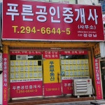푸른공인중개사사무소