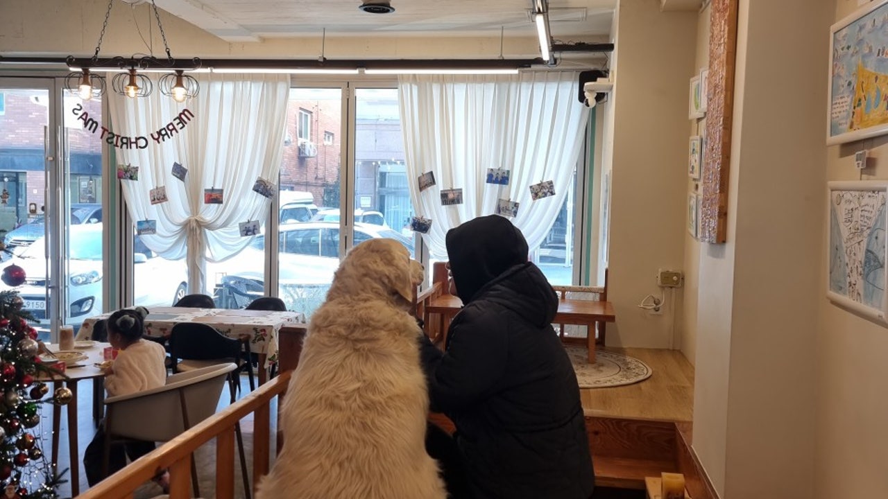 카페 프리데