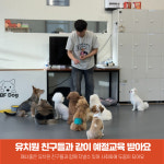 오프독 반려견 종합교육문화센터