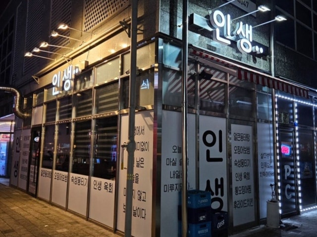 인생
