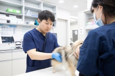 아이맘동물의료센터